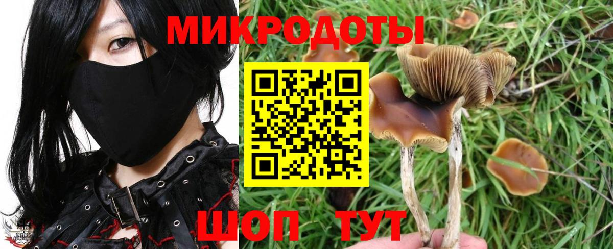 Псилоцибиновые грибы Cubensis  Псилоцибиновые грибы ЛСД  Знаменск  Вход с VPN 
